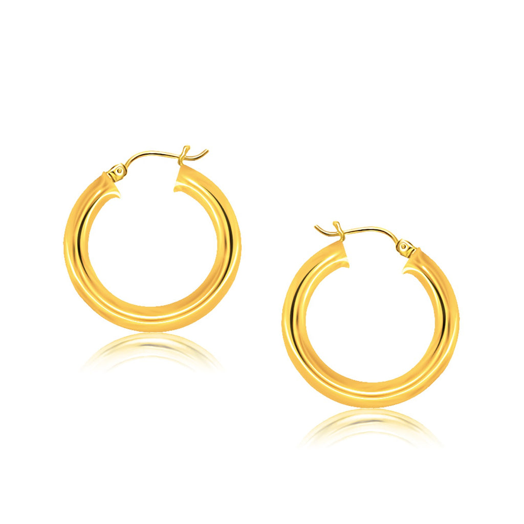 14k Yellow Gold Polished Hoop Earrings (30 mm)-rx64380
